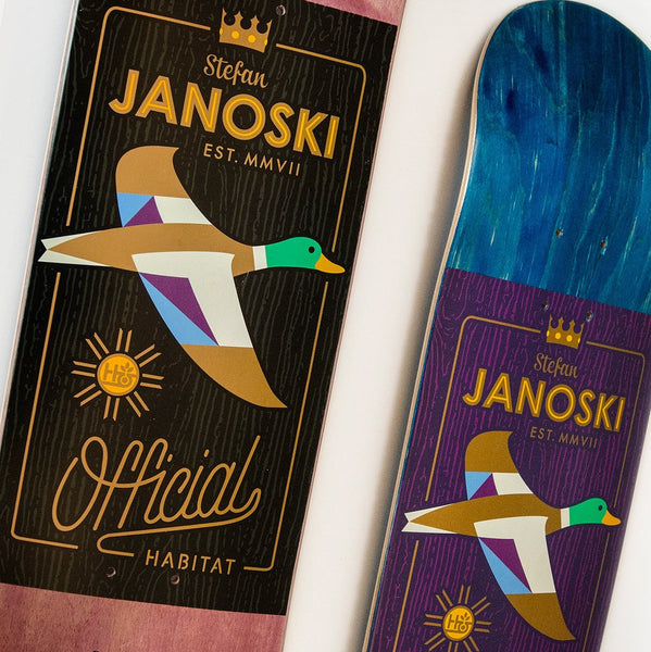 Mallard by Joe Castrucci